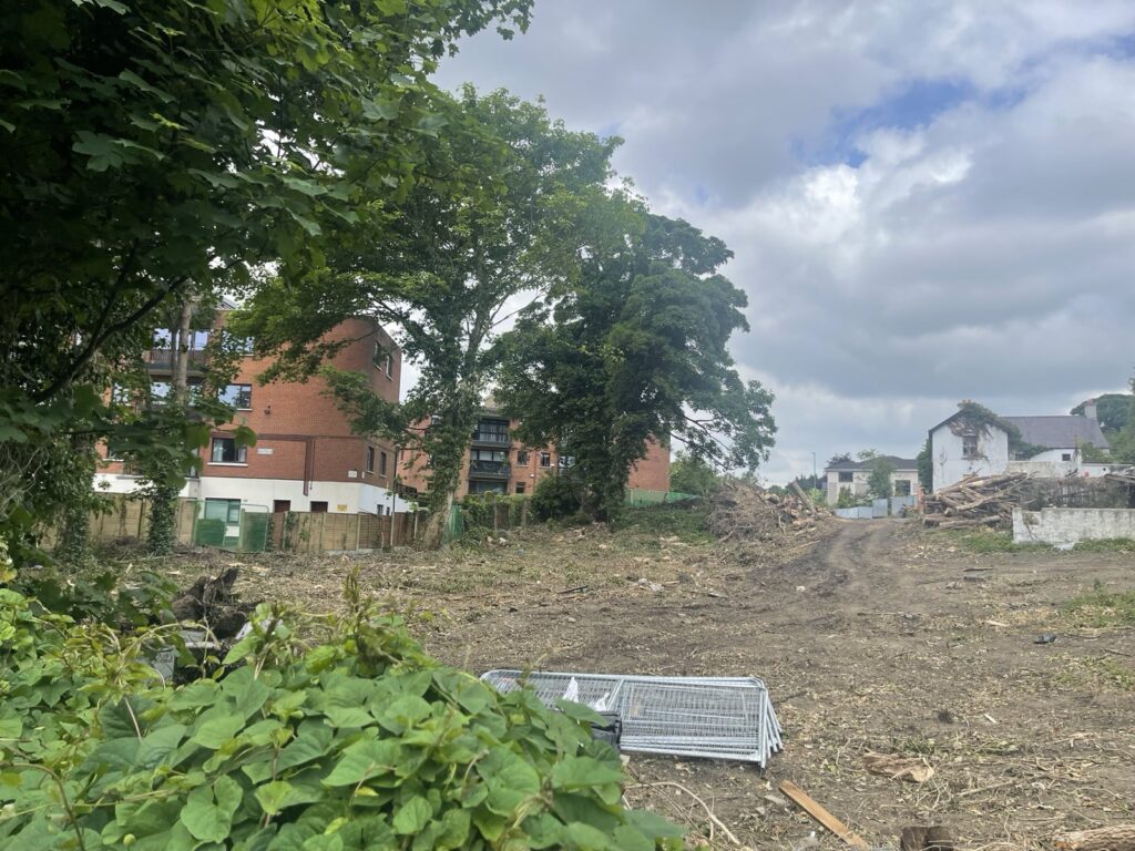 Glenavon Site Clearance Rear view from Mobhi Road